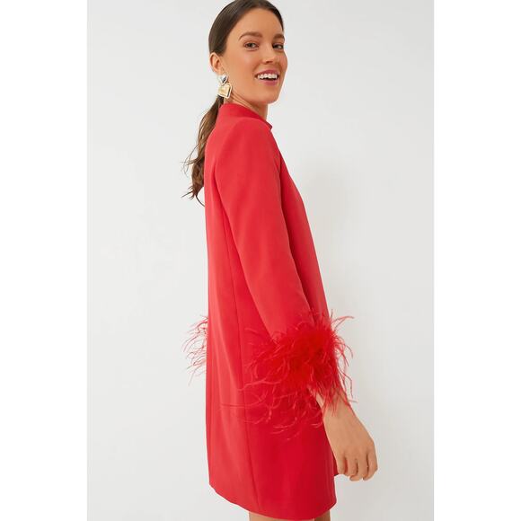 TUCKERNUCK red Feather Mod Ellie Dress NWT Size Small - Picture 3 of 11